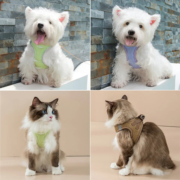 PawStride | Komfortables Geschirr- und Leinenset für Katzen und kleine Hunde - Brezella