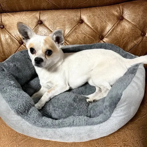 FellWärme | Gemütliches Hundebett mit Plüschkissen - Brezella
