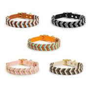AdventurePaws | Lebendiges Halsband für aktive Hunde - Brezella