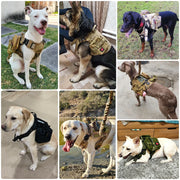 GuardGurt | Ergonomisches Hundegeschirr mit Leine - Brezella