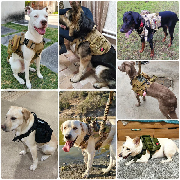GuardGurt | Ergonomisches Hundegeschirr mit Leine - Brezella