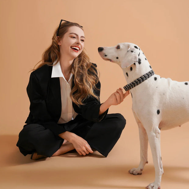 AdventurePaws | Lebendiges Halsband für aktive Hunde - Brezella