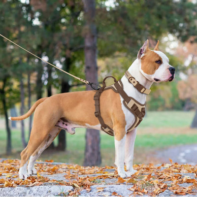 FlexiLux | Premium-Geschirr für Kleine und Große Hunde - Brezella