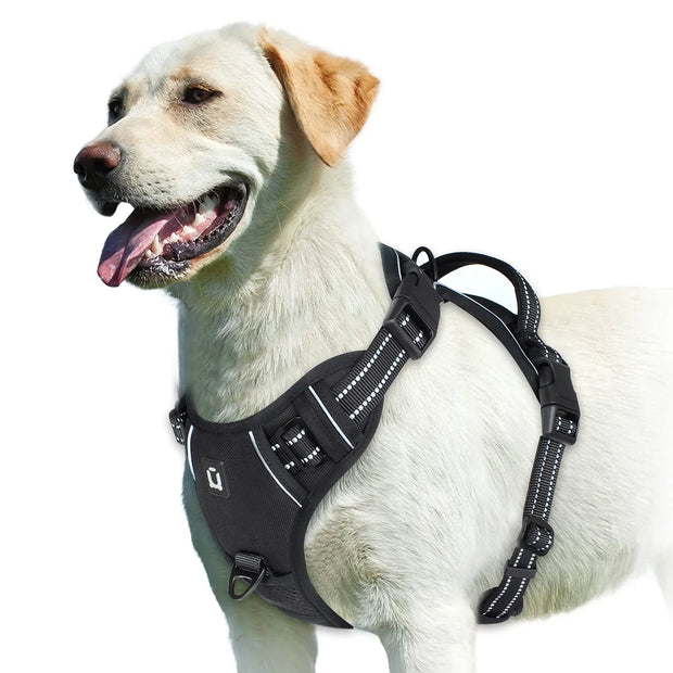 FlexiStep | Verstellbares Hundegeschirr für besten Komfort - Brezella