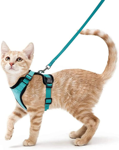 MeowTrek | Komfortables und sicheres Katzengeschirr für Abenteurer - Brezella