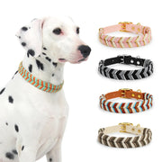 AdventurePaws | Lebendiges Halsband für aktive Hunde - Brezella