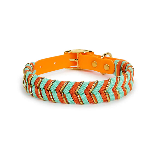AdventurePaws | Lebendiges Halsband für aktive Hunde - Brezella