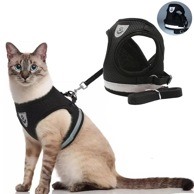 ShineStrap | Reflektierendes verstellbares Geschirr für Katzen - Brezella