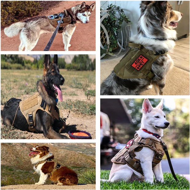 GuardGurt | Ergonomisches Hundegeschirr mit Leine - Brezella