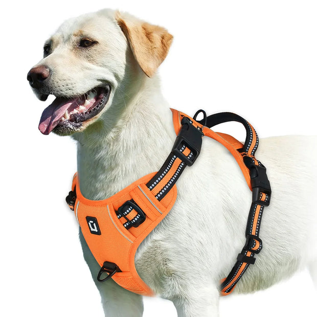 FlexiStep | Verstellbares Hundegeschirr für besten Komfort - Brezella