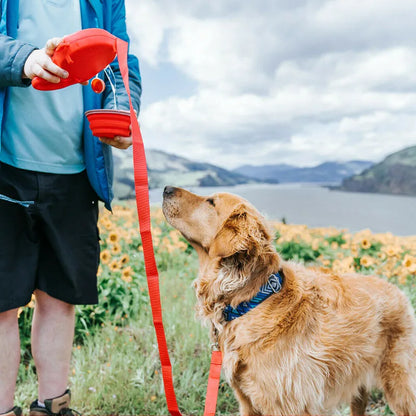 WanderFreund | Hunde Trink- und Abfallset für Ausflüge - Brezella
