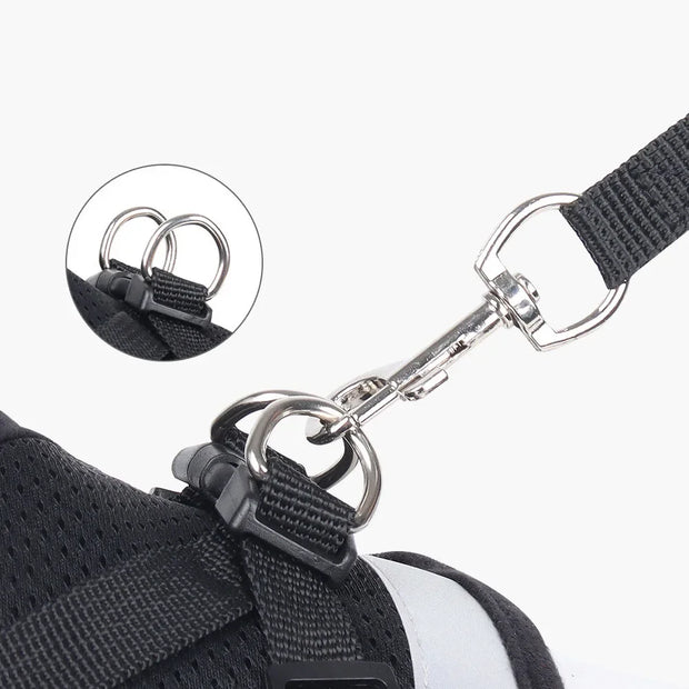 ShineStrap | Reflektierendes verstellbares Geschirr für Katzen - Brezella