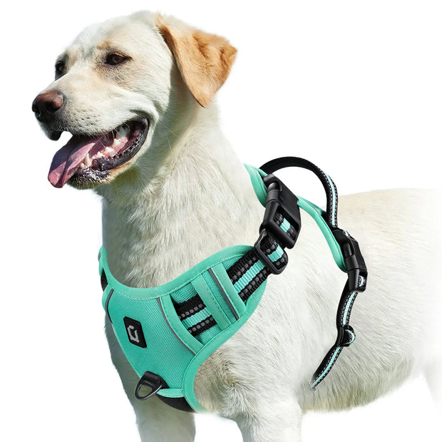 FlexiStep | Verstellbares Hundegeschirr für besten Komfort - Brezella