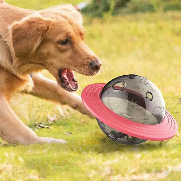 GeniusGlobe | Smart Plaything für die Entwicklung - Brezella