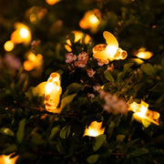 LumiHaven | Nachhaltige Outdoor-Lichter mit sanftem Glanz - Brezella