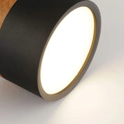 LumiNord | Elegante LED-Deckenlampe im nordischen Look - Brezella