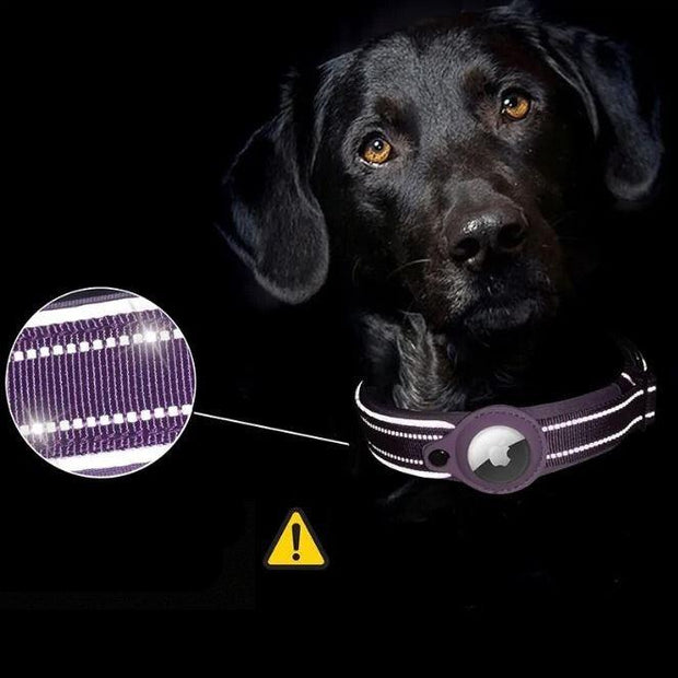 FurryTrack | Intelligentes Ortungshalsband für Tiere - Brezella
