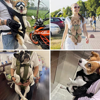 TierTrage | Praktischer Hunde-Rucksack für komfortable Reisen - Brezella