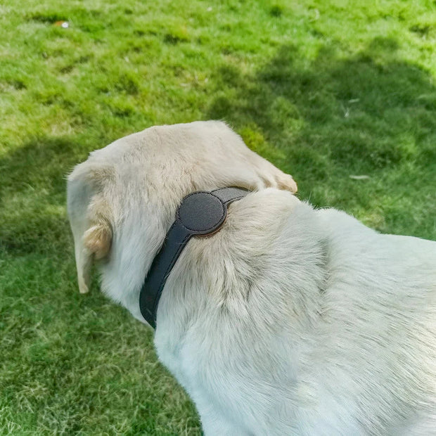TrackPet | Hundehalsband mit Airtag-Halter - Brezella