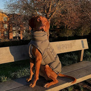 PawGuard | Perfekter Schutz für Haustierfüße - Brezella