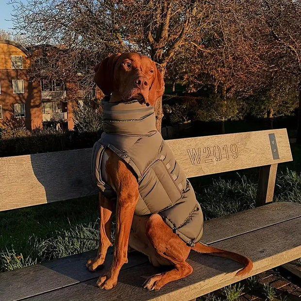 PawGuard | Perfekter Schutz für Haustierfüße - Brezella