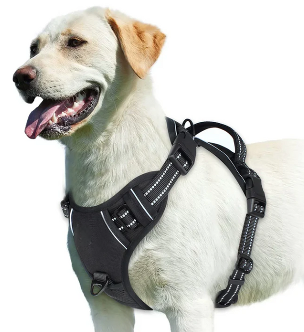 FlexiStep | Verstellbares Hundegeschirr für besten Komfort
