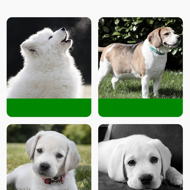 LushPaws | Silikon-Matte für Saubere Fütterung - Brezella
